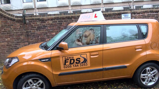 Fake Driving School - Tiffany Russo simán kúrel a jogsiért